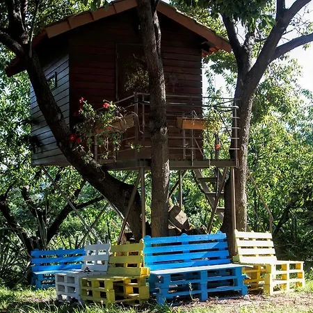 Quinta Do Pinheiral Villa Favoes Exterior photo