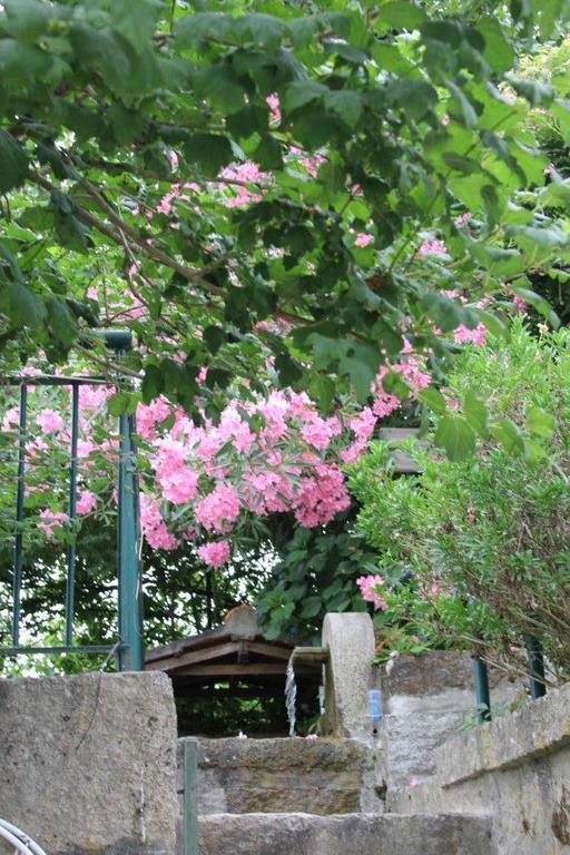 Villa Quinta Do Pinheiral Favoes